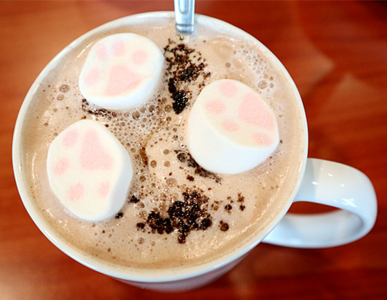 /tmp/phpalyCAZ /tmp/phpalyCAZ