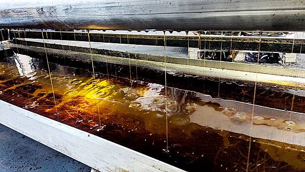 /tmp/phpDDTIwb /tmp/phpDDTIwb