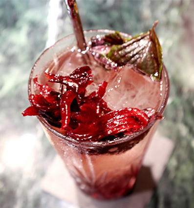 /tmp/phpCmNNcq /tmp/phpCmNNcq