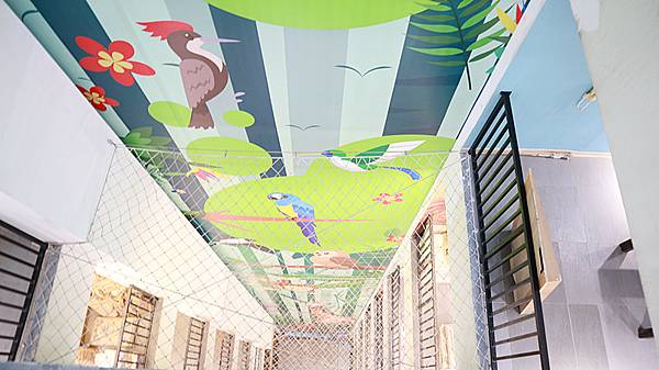 IMG_3973_副本 IMG_3973_副本