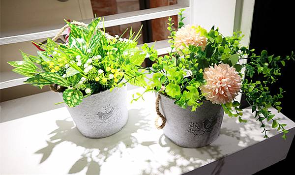 IMG_3975_副本 IMG_3975_副本