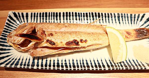 IMG_0031_副本 IMG_0031_副本