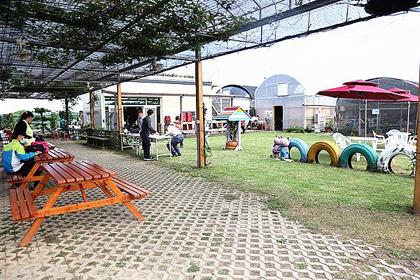 IMG_6102_副本 IMG_6102_副本