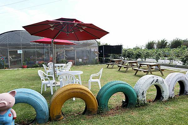 IMG_6103_副本 IMG_6103_副本