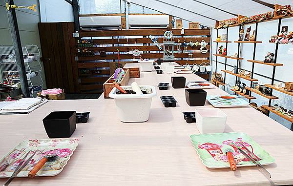 IMG_6123_副本 IMG_6123_副本