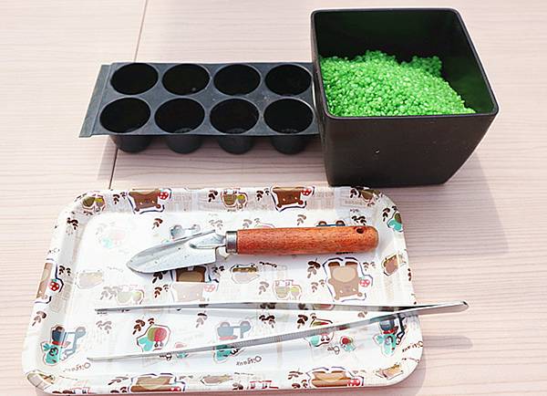 IMG_6129_副本 IMG_6129_副本