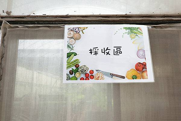 IMG_6190_副本 IMG_6190_副本