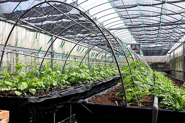 IMG_6130_副本 IMG_6130_副本