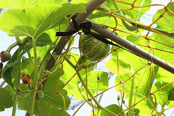 IMG_6135_副本 IMG_6135_副本