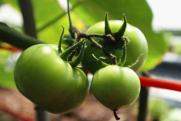 IMG_6138_副本 IMG_6138_副本