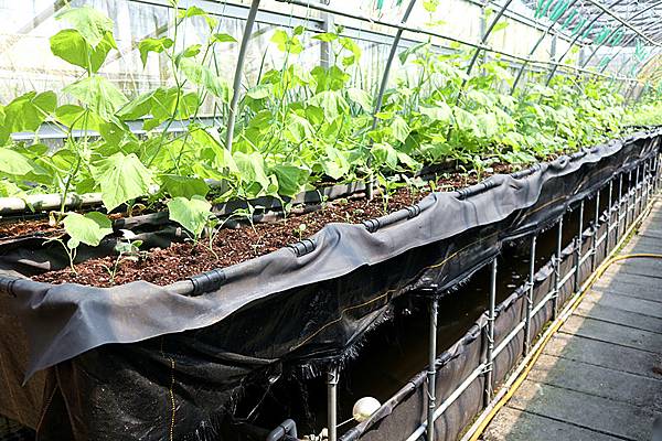 IMG_6131_副本 IMG_6131_副本