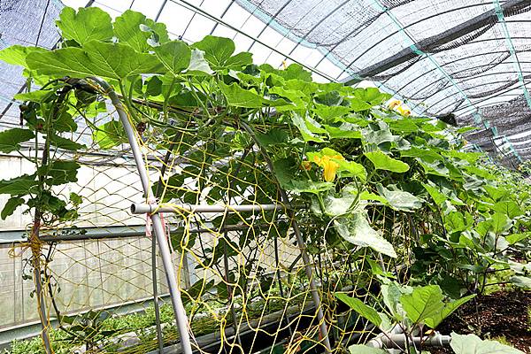 IMG_6134_副本 IMG_6134_副本