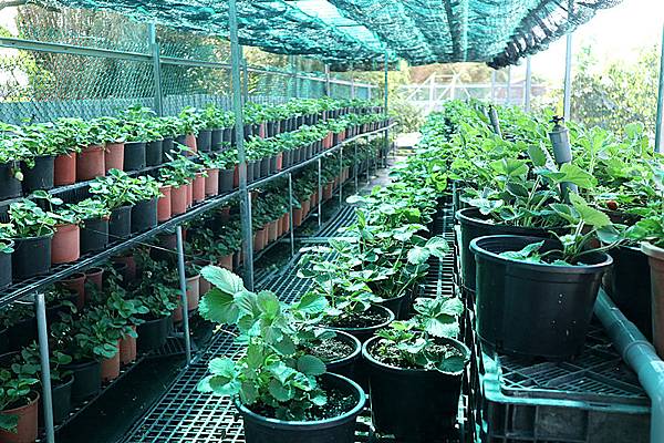 IMG_6143_副本 IMG_6143_副本