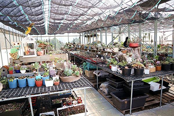 IMG_6150_副本 IMG_6150_副本