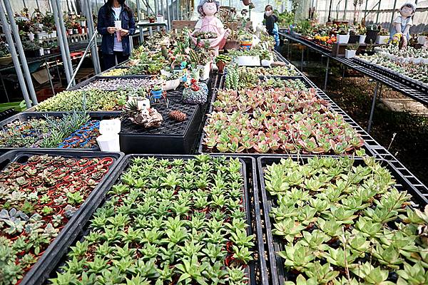 IMG_6154_副本 IMG_6154_副本