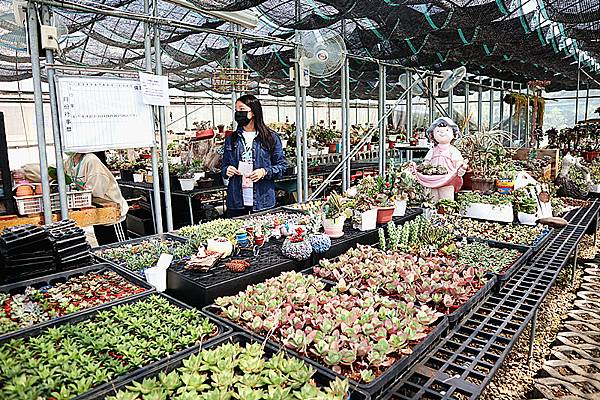 IMG_6156_副本 IMG_6156_副本