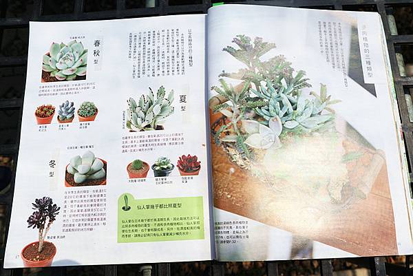 IMG_6164_副本 IMG_6164_副本