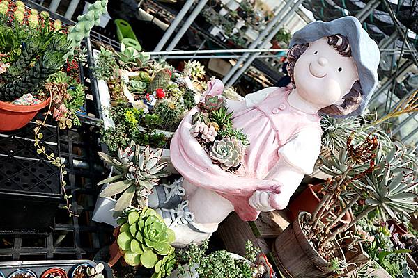 IMG_6157_副本 IMG_6157_副本