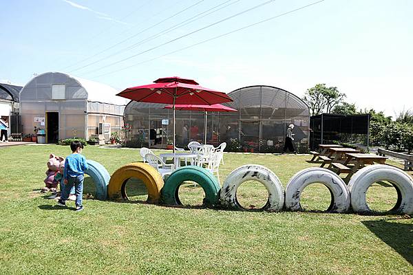 IMG_6174_副本 IMG_6174_副本