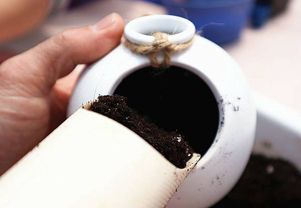 IMG_6205_副本 IMG_6205_副本