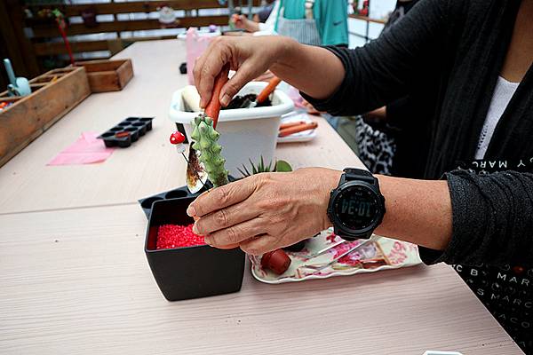 IMG_6203_副本 IMG_6203_副本