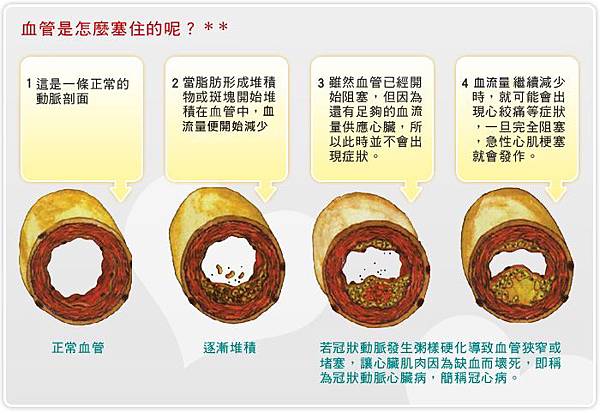 1369712744-1109788943