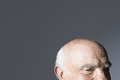 成为秃-的老人-33845379 成为秃-的老人-33845379