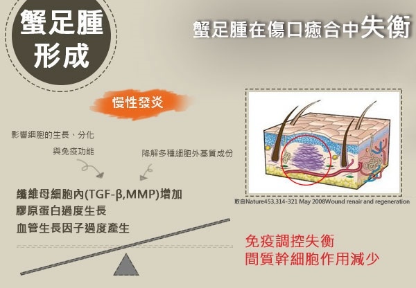 1402728117-923364457_n 1402728117-923364457_n