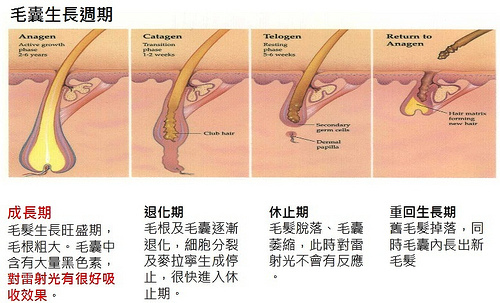 7751917132_78cb8d3539