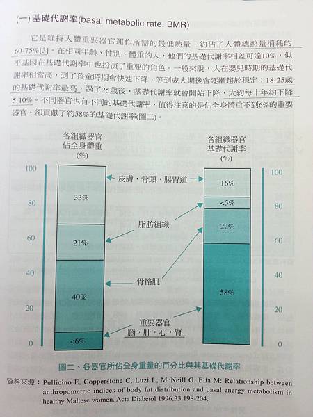 基礎代謝率1