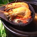 黃金海岸燒酒蝦.jpg