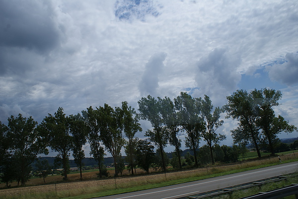 trees and clouds 2.JPG