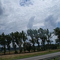 trees and clouds 2.JPG