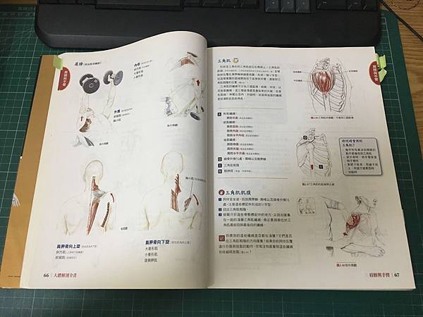 【健身重訓】14本健身好書推薦 Part2(中5~8)