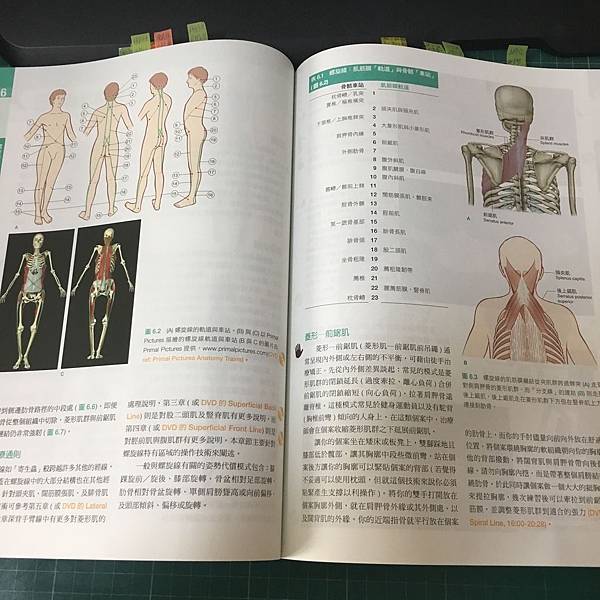 【健身重訓】14本健身好書推薦 Part3(進階9-14)