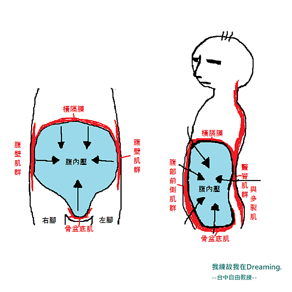 腹內壓小畫家.png 腹內壓小畫家.png