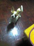 picture033.jpg