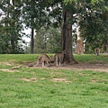 5.Kangaroo Reserve Zone.JPG