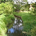 某公園的小溪流.JPG