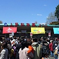 71.人山人海的排隊人潮,大家都是要去上野動物園看貓熊,我看我還是等團團跟圓圓吧.JPG