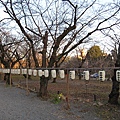 108.神社步道旁的燈,是舉辦奉燈祭(萬燈祭)用的,為了紀念平野神社從奈良隨著遷都搬到京都.jpg