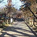 127.奈良的某神社.jpg