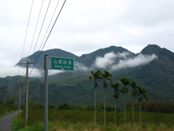 就在原住民的部落中