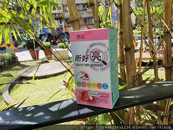 175383 試用