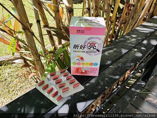 175392 試用