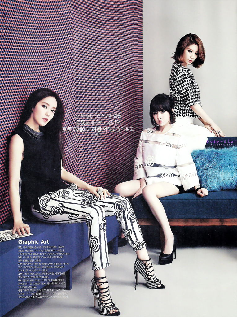 [TheCelebrity] 2014年2月 (T-Ara)