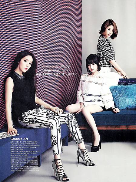 [TheCelebrity] 2014年2月 (T-Ara)