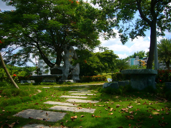 國內某一大學