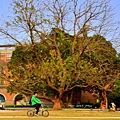 HSU_7813-1.jpg