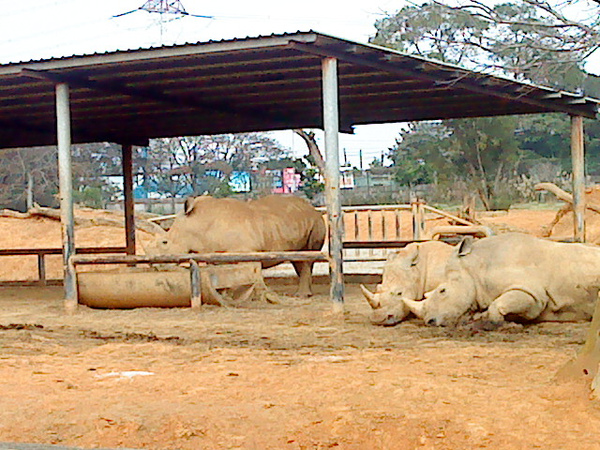 DSC00877.JPG